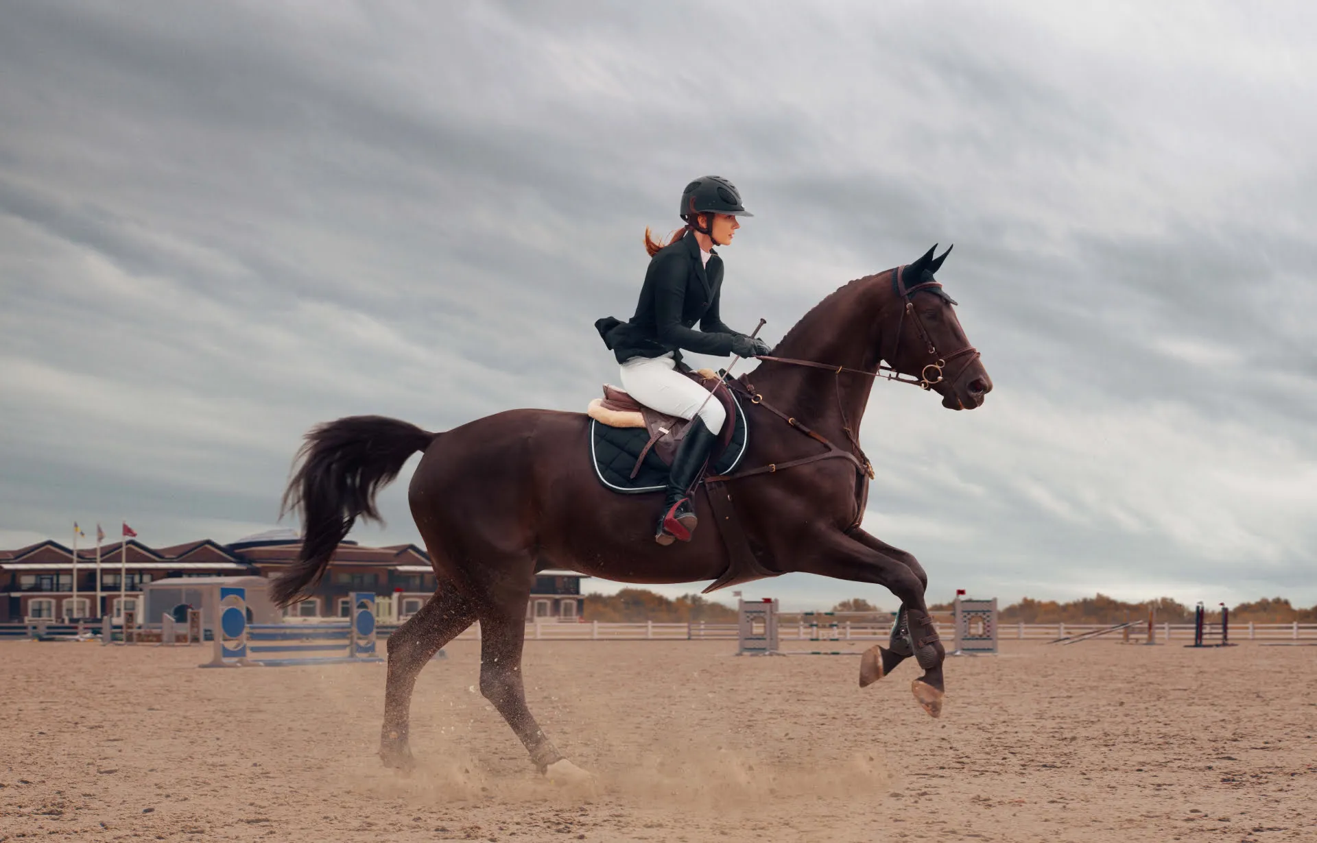 Horse with Woman
