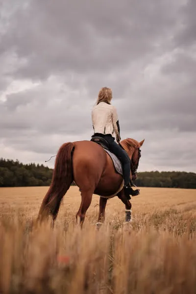 Horse with Woman