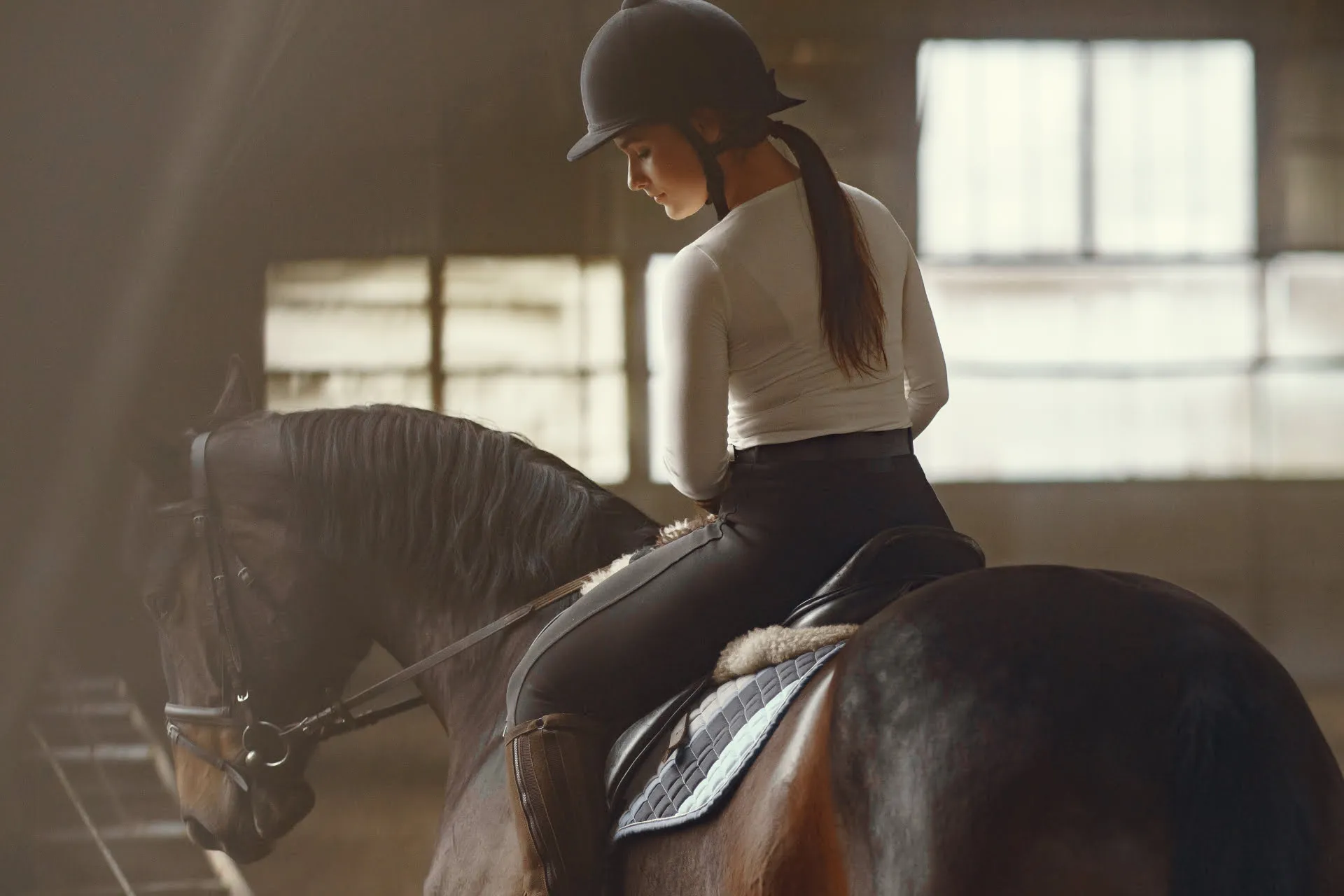 Horse with Woman
